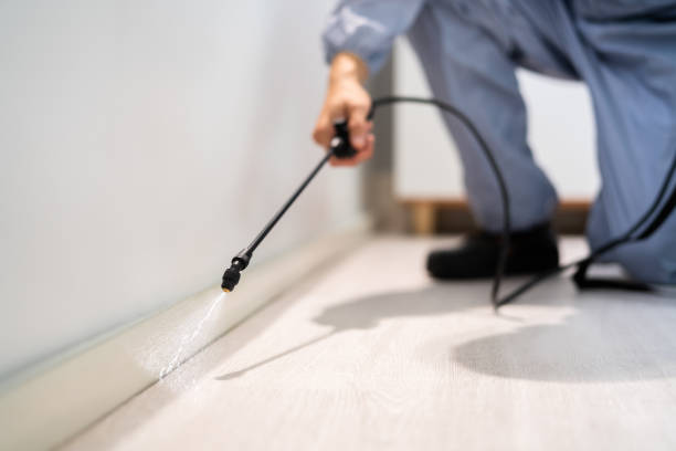 Licensed Pest Control service in Menlo Park, CA - Show Me Pest Control