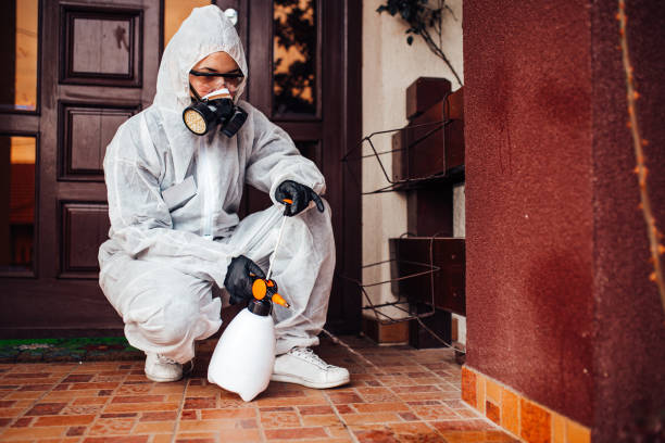 Reliable Wasp Removal contractor in Menlo Park, CA by Show Me Pest Control